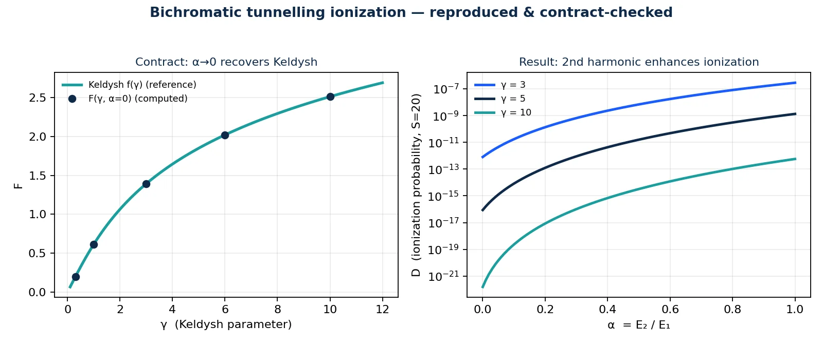 The original result, reproduced and contract-checked by the workflow. Left: the computed exponent F(γ, α=0) lands exactly on the reference Keldysh curve. Right: switching on the second harmonic raises the ionization probability D across the Keldysh range.