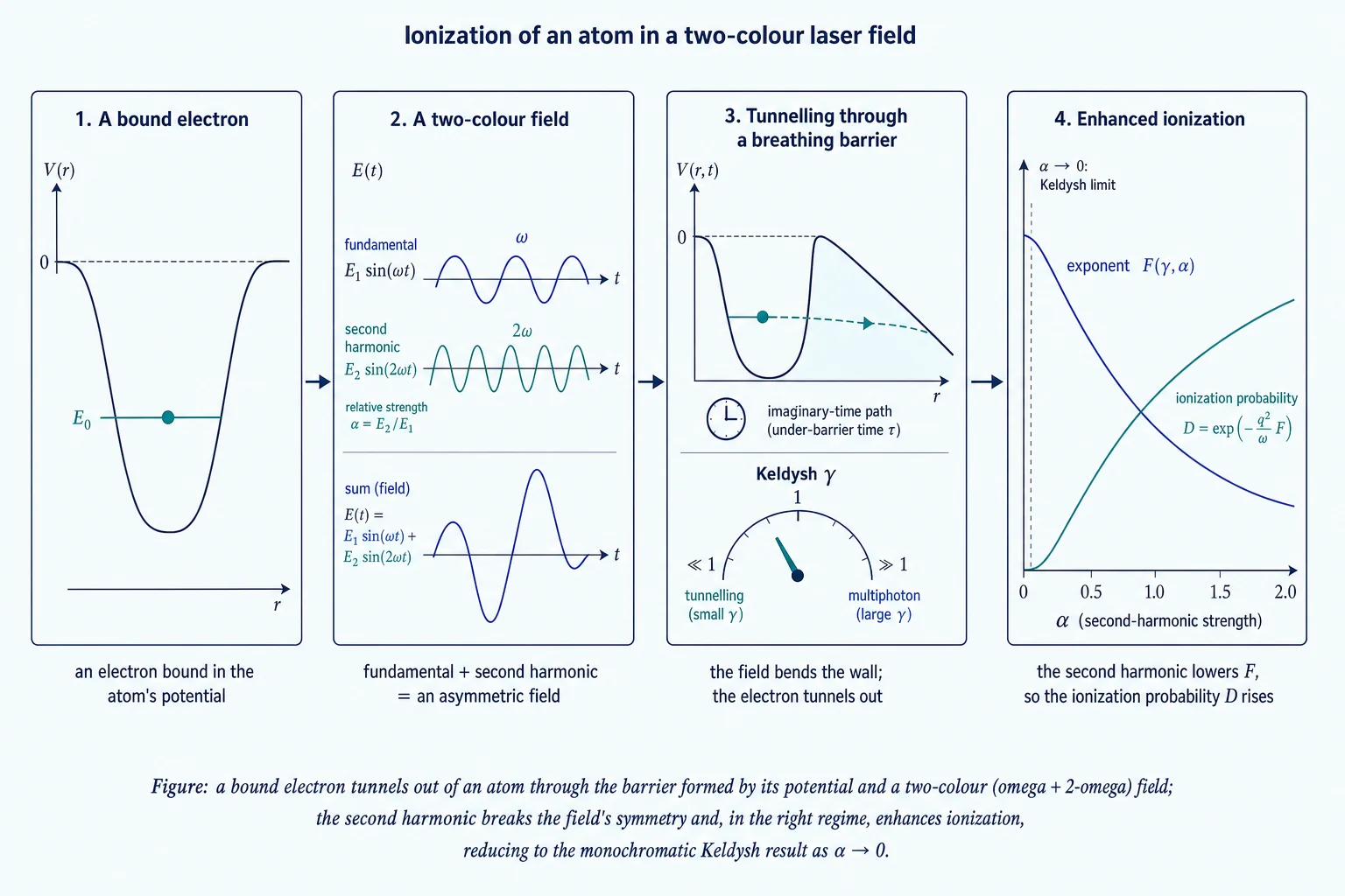 How the result works: a bound electron tunnels out of an atom through the barrier formed by its potential and a two-colour (ω + 2ω) field; the second harmonic breaks the field’s symmetry and, in the right regime, lowers the tunnelling exponent F so the ionization probability D rises, reducing to the monochromatic Keldysh limit as α → 0.