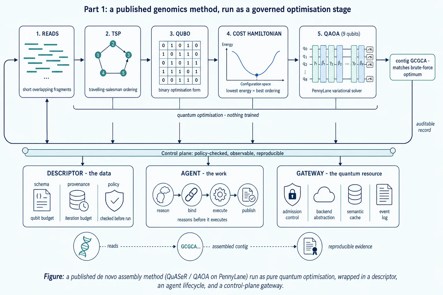 Figure: a published de novo assembly method (QuASeR / QAOA on PennyLane) run as pure quantum optimisation, wrapped in a descriptor, an agent lifecycle, and a control-plane gateway.