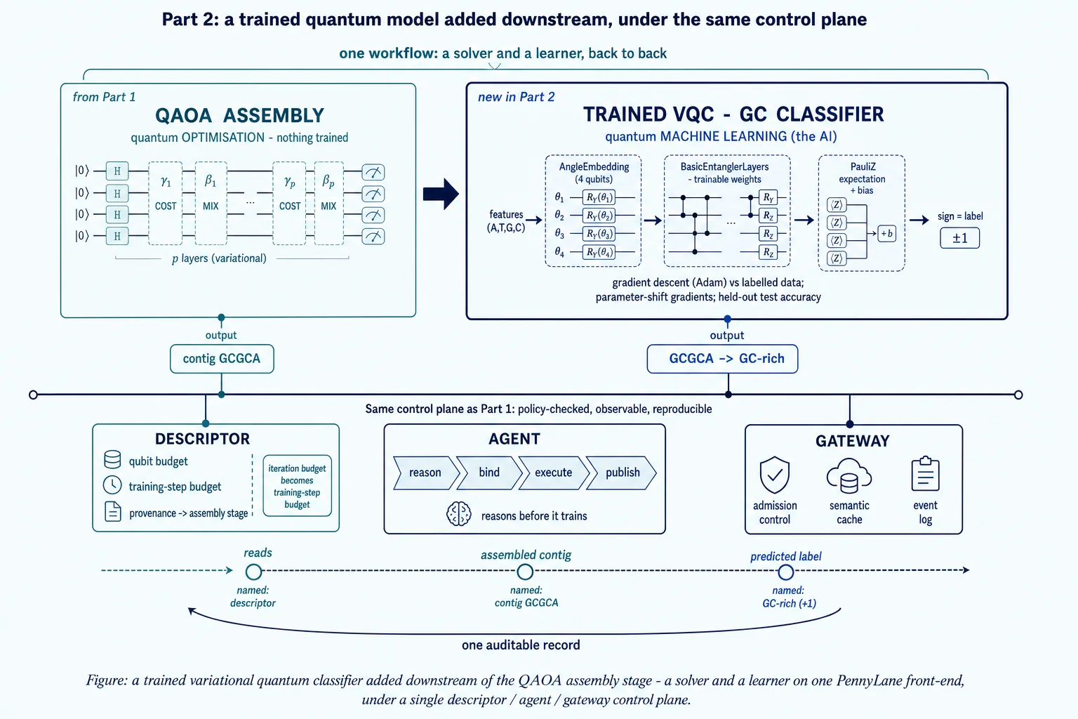 Figure: a trained variational quantum classifier added downstream of the QAOA assembly stage — a solver and a learner on one PennyLane front-end, under a single descriptor / agent / gateway control plane.