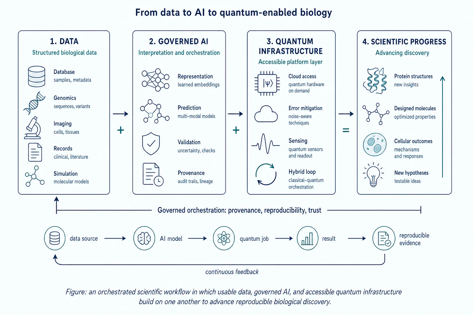 An orchestrated scientific workflow in which usable data, governed AI, and accessible quantum infrastructure build on one another to advance reproducible biological discovery.